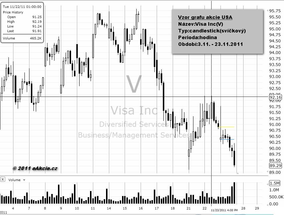 Visa Inc.(V)